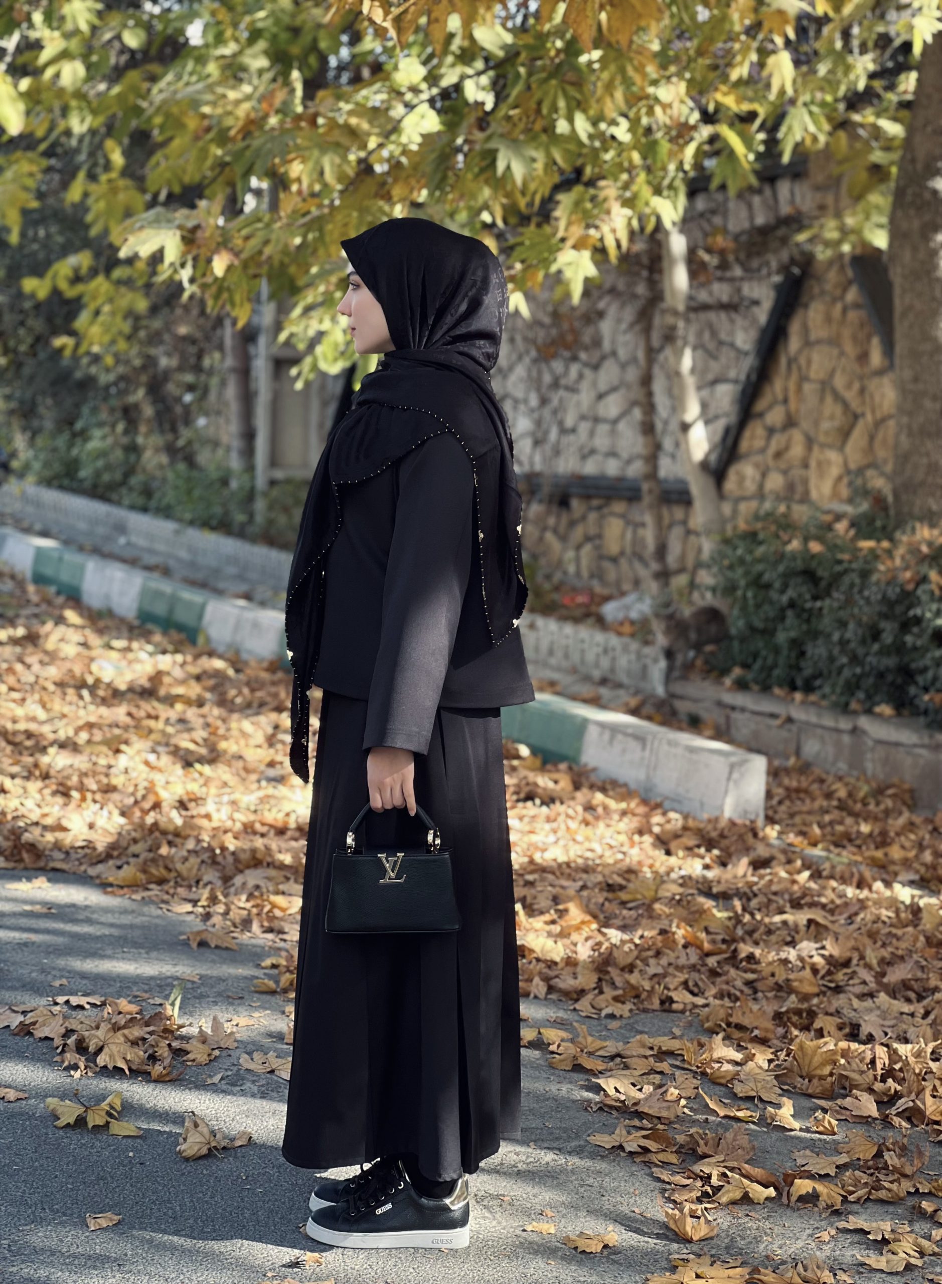 روسری کشمیر دور پانچ شادی - Image 3